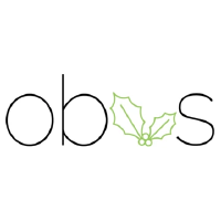 Obvs Skincare Logo