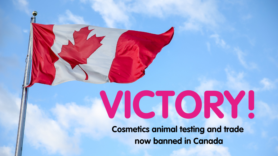 victory-cosmetics-animal-testing-and-trade-now-banned-in-canada