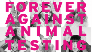 Forever Against Animal Testing Graphic