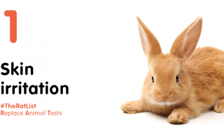 Skin Irritation with brown rabbit and hashtag #TheRatList