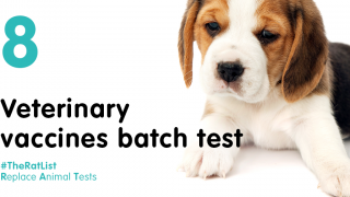 Veterinary vaccines batch test with beagle puppy and hashtag #TheRatList