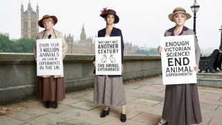 Evanna Lynch – Luna Lovegood in the Harry Potter film series - Made in Chelsea’s Lucy Watson, and Lesley Nicol, who played Mrs Patmore in Downton Abbey, have teamed up with Cruelty Free International, Animal Free Research UK and Scotland’s OneKind to re-enact an iconic animal rights demonstration from 100 years ago.