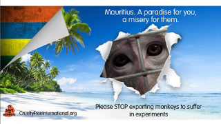 Mauritius Campaign Image