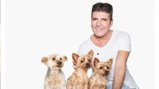 Simon Cowell with his three dogs - Squiddly, Diddly and Freddie