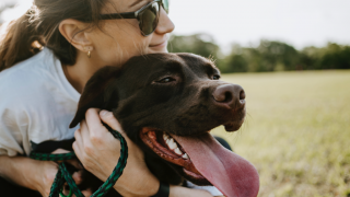 Close up of black dog being hugged by female owner