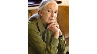 Dr Jane Goodhall DBE, Founder of the Jane Goodall Institute & UN Messenger of Peace