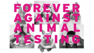 Forever Against Animal Testing campaign image