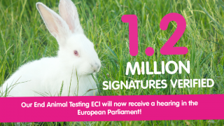White bunny with text reading 1.2 million signatures verified - Our End Animal Testing ECI will now receive a hearing in the European Parliament!