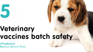 5 - Veterinary vaccine batch safety