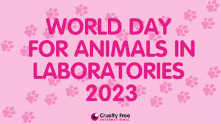 World Day for Animals in Laboratories 2023 pink graphic 