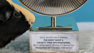 Guinea pig with Engage for Good award