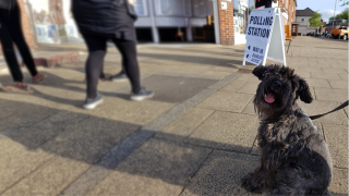 Dog waiting outside a polling station in the UK