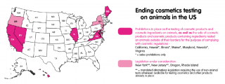 Map of the states with Cruelty Free states coloured in pink