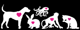White graphic of dog, octopus, rabbit, monkey and cat on black background with pink heart in centre of body.