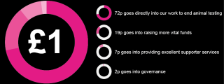 Infographic of how your money is spent