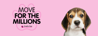 Move for the Millions banner