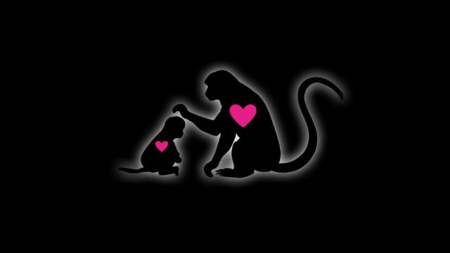 black background with grey outlines of small and large monkeys, both with pink hearts inside them