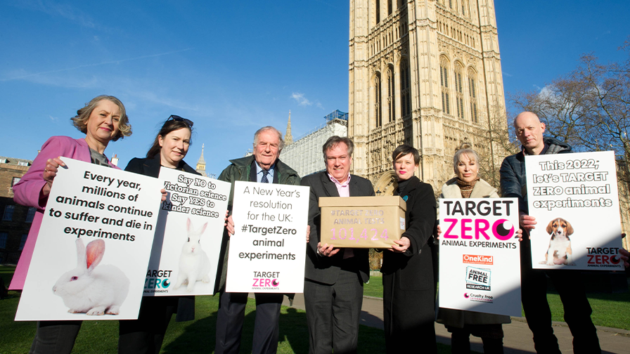 Kerry Postlewhite (Director of Public Affairs, Cruelty Free International), Cathy Monaghan (Head of Public Affairs UK, Cruelty Free International), Sir Roger Gale MP, Henry Smith MP, Carla Owen (CEO, Animal Free Research UK), Carol Royle (Patron, Animal Free Research UK) and Bob Elliot (Director, OneKind (Scotland)) outside the Houses of Parliament. 